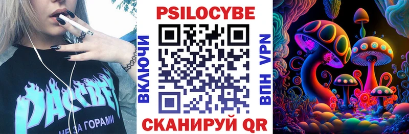 Купить закладки  Людиново  Псилоцибиновые грибы GOLDEN TEACHER 